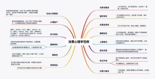 从运营 产品和技术,多角度思考电商的营销体系建设