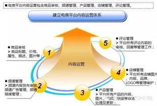 互联网电商b2c b2b平台运营能力模型及策略体系